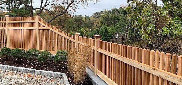 Cedar Fencing