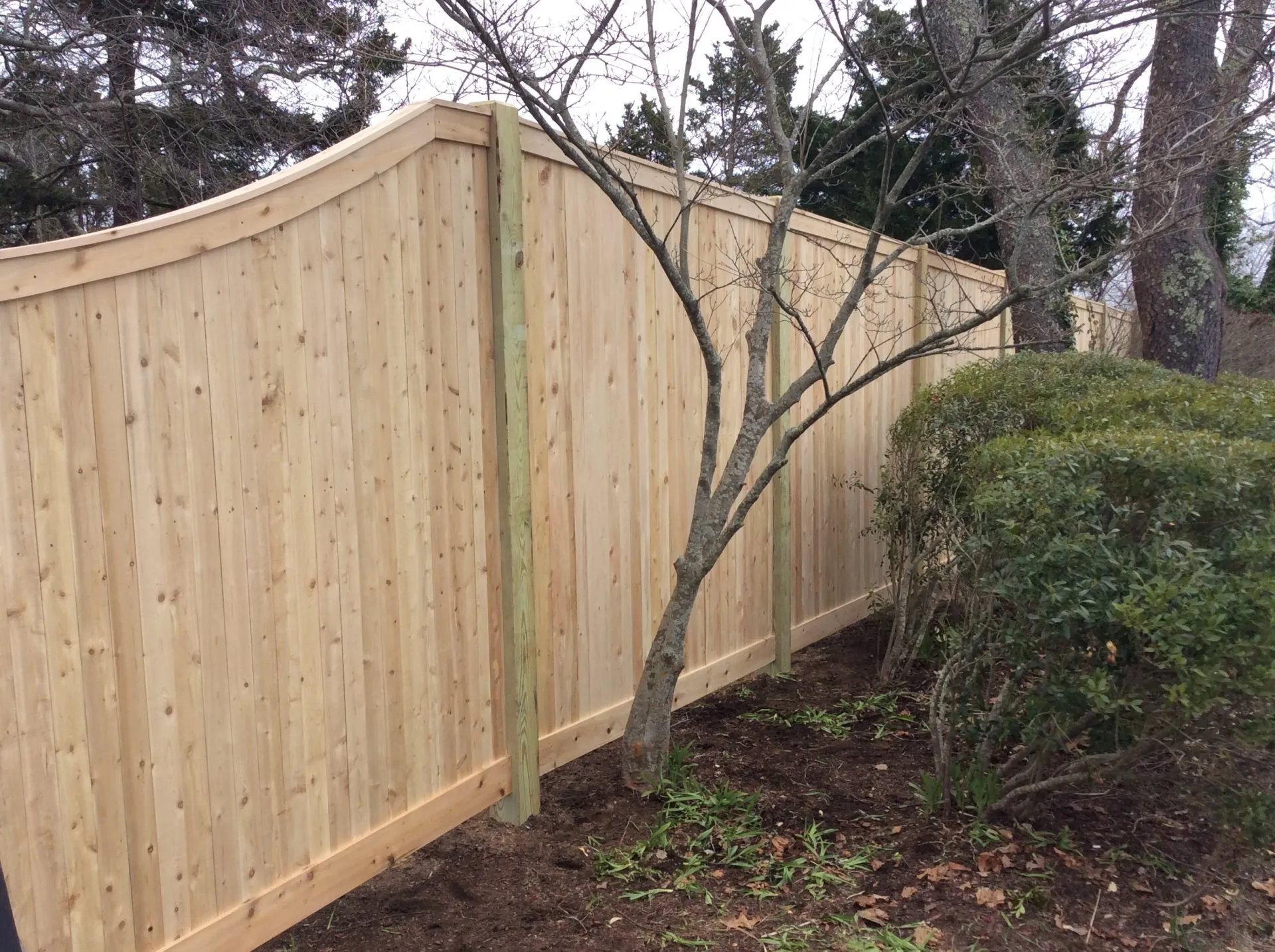Cedar board privacy fence