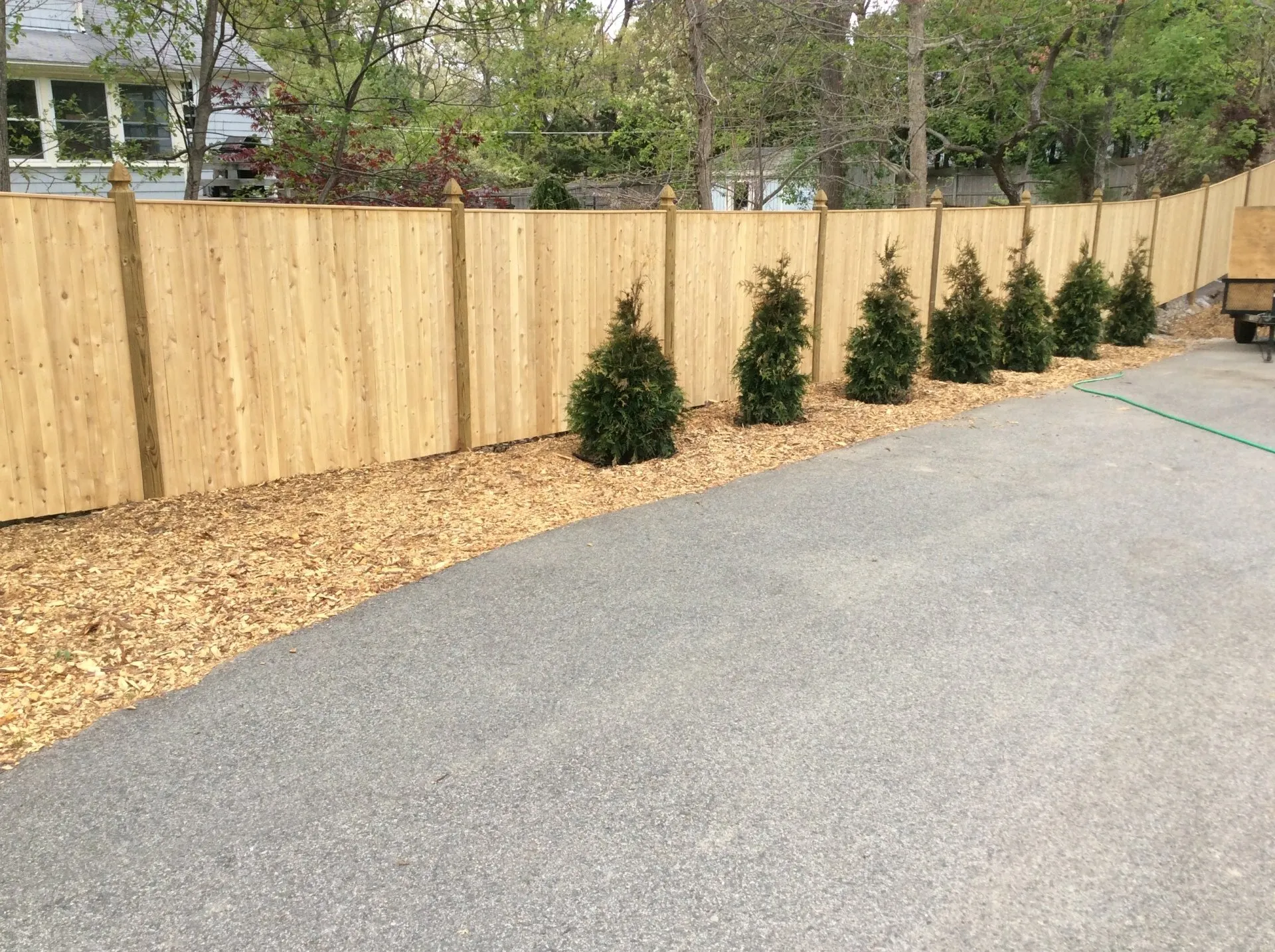 Cedar privacy fence