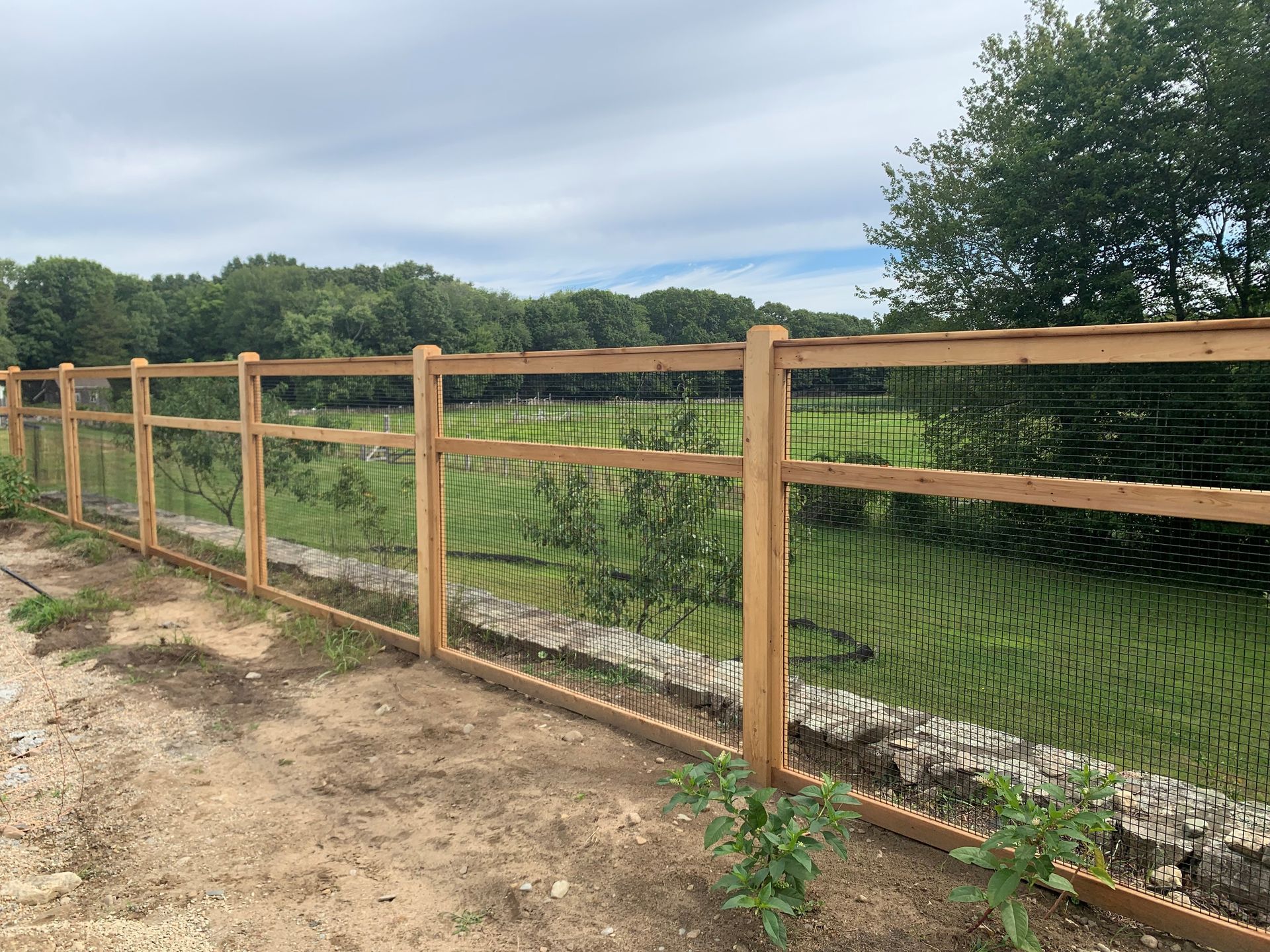 Chain Link Fencing
